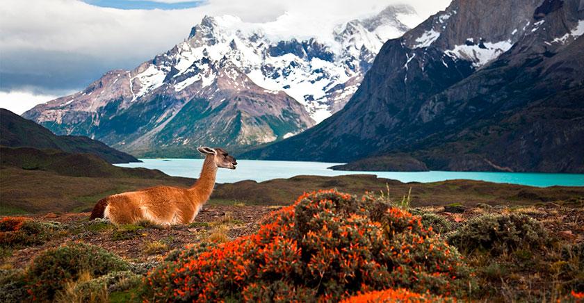 U. de Chile será anfitriona de simposio internacional sobre cambio climático, políticas públicas y negocios