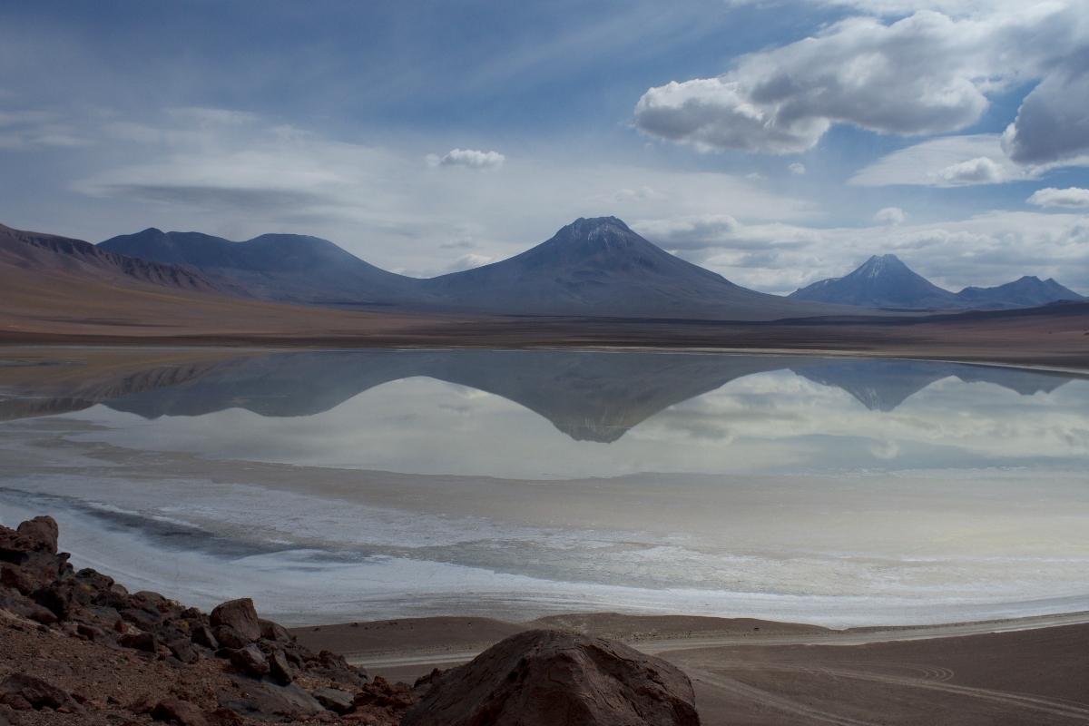 Microorganismos descubiertos en el desierto de Atacama revelan cómo la vida prolifera en condiciones extremas