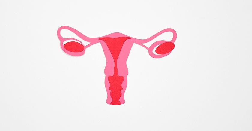 Nueva esperanza contra el síndrome de ovario poliquístico e infertilidad: U. de Chile abre el camino con estudio pionero