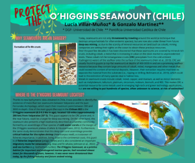 La investigación "Protect the O'Higgins Seamount" fue realizada en conjunto por Lucía Villar y el investigador de la Universidad Católica de Chile (UC), Gonzalo Martinez.