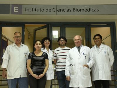 Antonio Alzola, Andrea Méndez, Carolina Ponce, doctores Diego Rojas y Sergio Vargas, y Pablo Iturra, integrantes del equipo que sigue esta línea de investigación. 