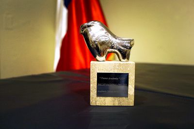 El premio consistió en un diploma y una escultura creada del escultor chileno Sergio Castillo (1925-2010).