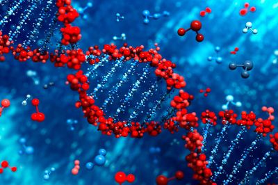 La tecnica de CRISPR-Cas, utilizada por los investigadores de Harvard para la incorporación del archivo GIF en la bacteria de E.Coli, es la herramienta molecular usada para "editar" o "corregir" ADN.