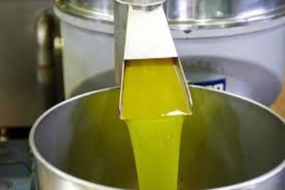 La U. de Chile partió el año 2002 trabajando en la investigación del aceite de oliva. "Vimos que la gente partió sin saber nada, teníamos que definir parámetros químicos y empezamos a trabajar"