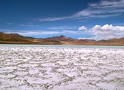 Chile posee el 54 por ciento de las reservas conocidas de carbonato de Litio del mundo, por lo tanto es una fuente muy atractiva como reserva natural.