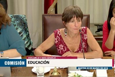 La diputada Cristina Girardi, presidenta de la Comisión de Educación, agradeció la presencia del Dr. Allende en la sesión de este martes 20 de marzo.