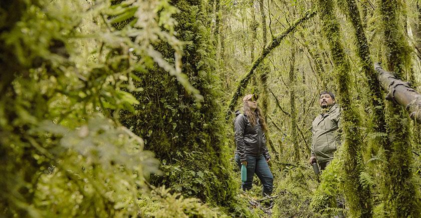 "Invasores": Uchile TV estrenará serie documental que explora el alma de la naturaleza chilena en peligro