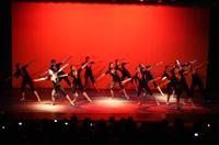 Danza Afro, Danza Recreativa Infantil, Técnica Académica y Bailes de Salón son algunos de los cursos que el Departamento de Danza ofrece en su Programa Vespertino 2010. 