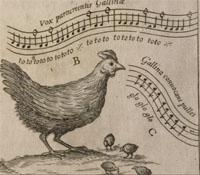 "Kircher tiene entre sus láminas unos dibujos de gallinas y sus pollitos y aparece transcrito en música el canto de la gallina", Explica Rondón.