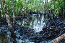 La demanda es por el derramamiento de mas de 80 000 toneladas de residuos petrolíferos en la zona de Lago Agrio durante los años 1964 y 1992. 