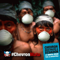 En el 2011 un Tribunal de Primera Instancia emitió una sentencia en la cual obliga a Chevron a indemnizar con 9500 millones de dólares a las comunidades indígenas afectadas.