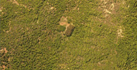 Imagen aérea RGB tomada sobre un predio forestal de la séptima región cubierta por vegetación nativa, principalmente de roble. Los píxeles tienen resolución de  0.5 m.