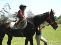 La escuela de Equitación de la Fcaultad de Ciencias Veterinarias y Pecuarias puso a disposición sus caballos y poni para pasear a los niños. 