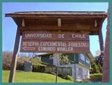A comienzos de este año se propuso convertir la Reserva Forestal Edmundo Winkler, de la U. de Chile, en un Observatorio Ecológico, otorgando espacios para la investigación de la flora y la fauna.