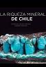 La Riqueza Mineral de Chile