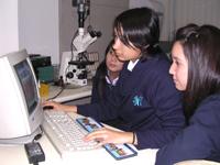 Las estudiantes trabajaron en Proyectos de Investigación Científica en el Laboratorio de Microbiología Bucal.