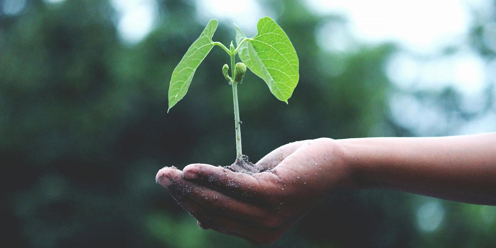 U. de Chile promueve guía gratuita para potenciar el bienestar juvenil a través de la naturaleza en la ciudad