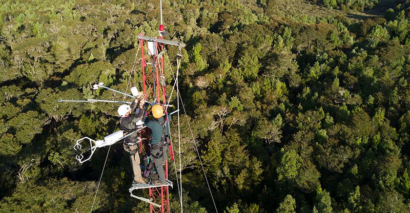 Investigación concluye que bosques de Chiloé están entre los que más CO2 captan por hectárea en el mundo