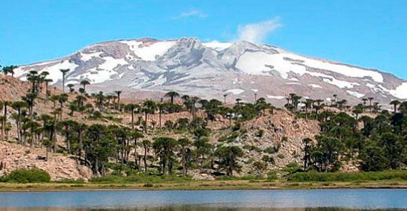 Chileno crea sistema para pronosticar erupciones volcánicas mediante inteligencia artificial y datos sísmicos