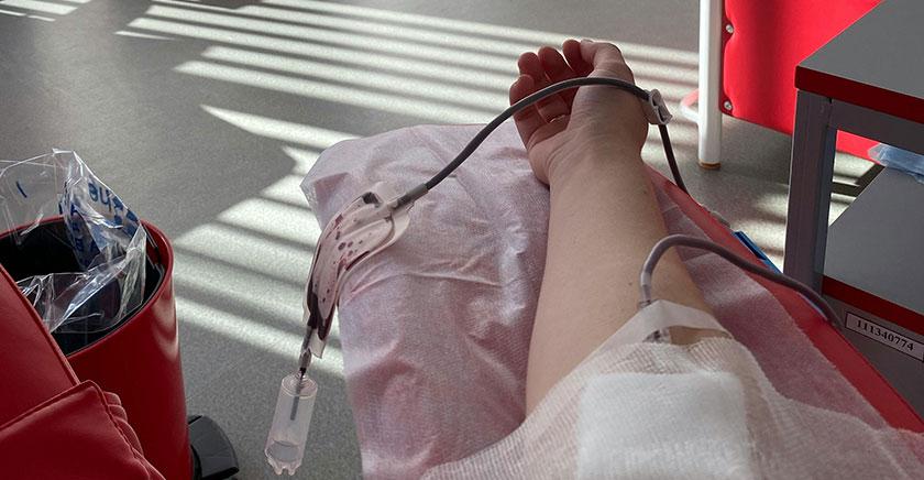 U. de Chile y Cruz Roja Chilena convocan a jornada de donación en el marco del Día del Donante de Sangre