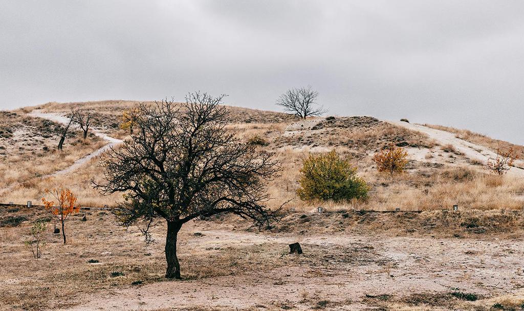 U. de Chile impulsa metas concretas para la seguridad hídrica ante el cambio climático