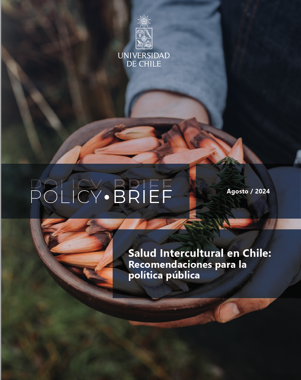 Policy Brief: Salud Intercultural en Chile: Recomendaciones para la política pública