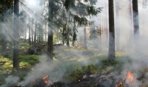 Especialistas recorrerán el país para enseñar prevención de incendios