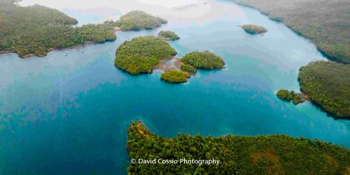 Bosques de macroalgas en Patagonia chilena: biodiversidad amenazada 