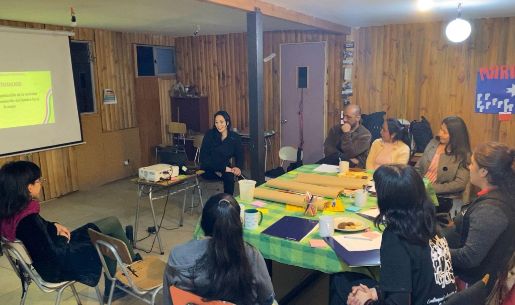 Primera sesión “El patriarcado en la vida cotidiana” con la invitada Elisa Franco, vocera de la Coordinadora Feminista 8 de Marzo. 