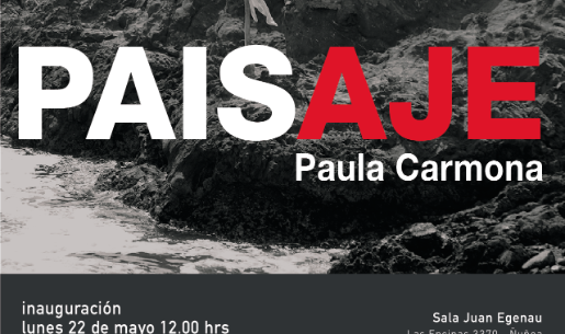 Paula Carmona Araya aborda propuestas políticas y poéticas en exposición en SJE