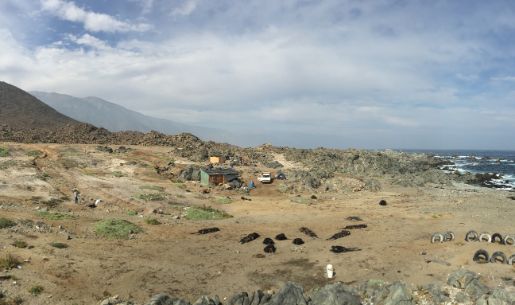 Así luce en la actualidad la costa de la Región de Antofagasta, donde se realizó este estudio