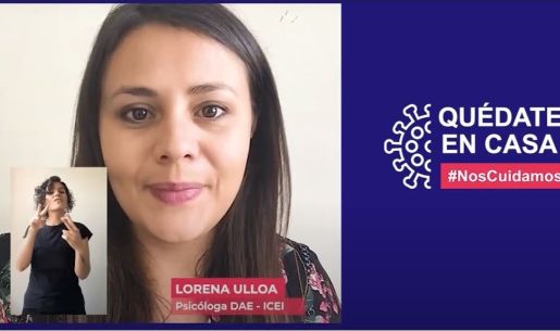 Lorena Ulloa, psicóloga ICEI.