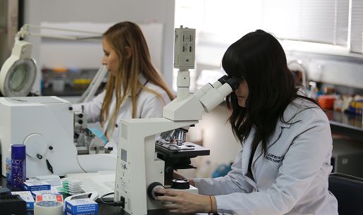 Desigualdades de género en investigación e innovación