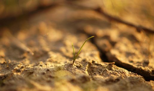 Cómo hacer investigación en ciencias sociales de manera creativa con comunidades: los casos de Chañaral y Aconcagua.