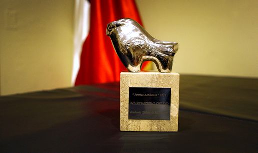 Academia Chilena de Bellas Artes premió al Ballet Nacional Chileno