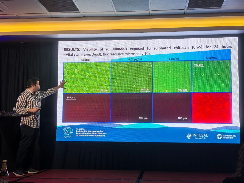 Presentan Investigación sobre Quítosano de académicos del DCSAV