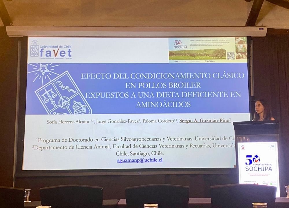 Estudiante del DCSAV presenta en el 50º Congreso SOCHIPA A.G.
