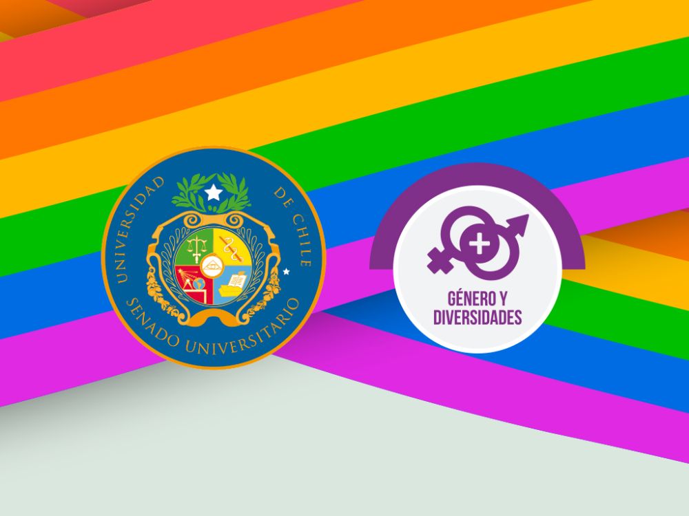 Senado convoca a la comunidad LGBTIQA+ a responder formulario sobre su experiencia laboral en la U. de Chile