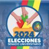 https://uchile.cl/elecciones-senado