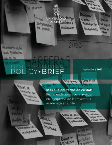 Más allá del techo de cristal: Recomendaciones para avanzar en la equidad de la trayectoria académica en Chile