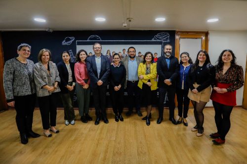 Comité Interinstitucional de Reconocimiento de Estándares de Igualdad de Género en Universidades del Estado de Chile