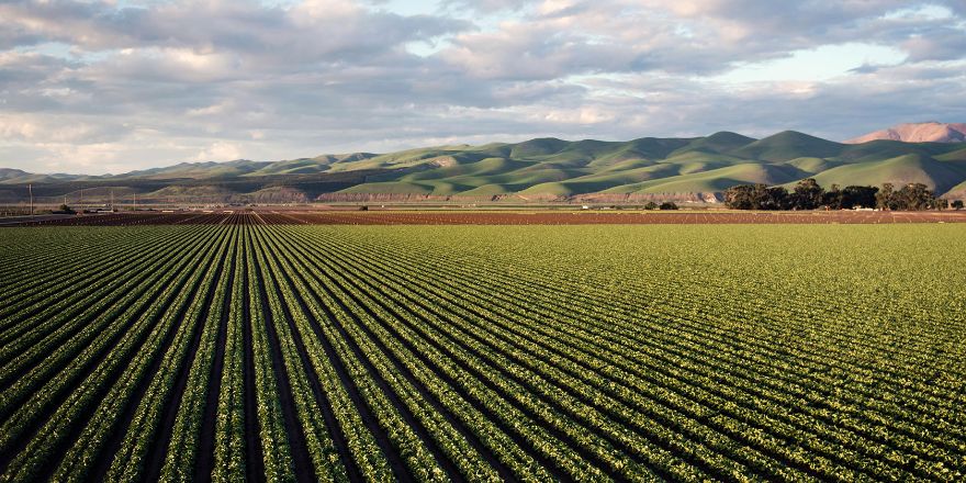 Desafíos del futuro de la alimentación