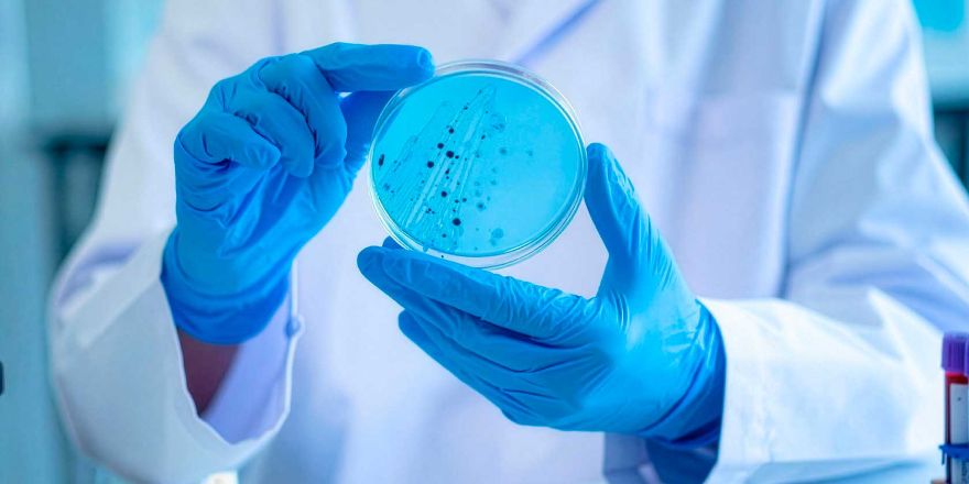 U. de Chile lidera adjudicación de proyectos en concursos Anillos 2025 de ANID