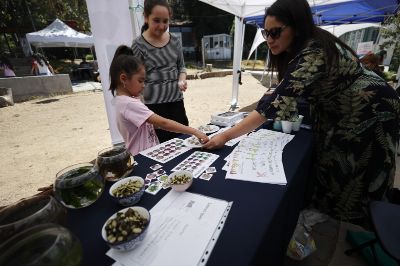 El equipo del proyecto "Hierbas de Mar" también fue parte de la feria en Parque El Litre. La profesora Paulina Larrondo y Pilar Muñoz acompañaron a los asistentes.