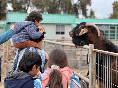 El equipo de Mundo Granja hizo un entretenido taller de lombricultura y visitas guiadas para conocer los animales que también forman parte del patrimonio de nuestro país.