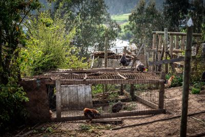 La actividad es la segunda bajo el lema campesino, forma parte de las semanas temáticas y en tres de los cinco días que dura la Semana Campesina estará en la Plataforma Cultural.