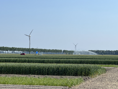 En la fotografía: ¿Cómo Holanda está enfrentando un cambio de producción en su agricultura actual y futura? Evaluación de introducción de nuevos cultivos y sistemas de cultivos para el Manejo sustentable de enfermedades (Wageningen Research Station University).