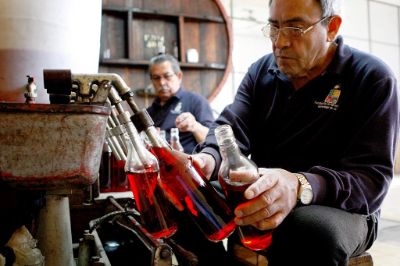 En la línea de brandys, la Universidad produce las variedades Cogñac (10 y 20 años) y Armañac (5 años).