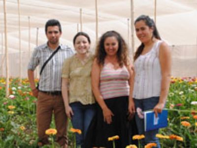 Visita a campo de producción, Valle de Azapa. De izquierda a derecha. Danilo Aros (Profesor U. de Chile), Sofía Boza (Profesor U. de Chile), Sra. Marcela Riquelme (Agricultora INDAP), Karina Orellana 
