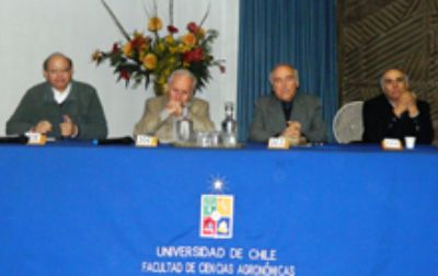 Los profesores: Roberto Neira, Gabino Reginato, Fernando Santibáñez y Marco Schwartz.
